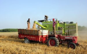 up-agri